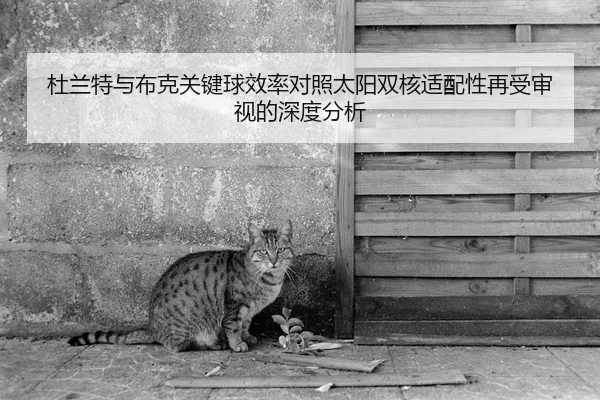 杜兰特与布克关键球效率对照太阳双核适配性再受审视的深度分析（PG Soft APP）