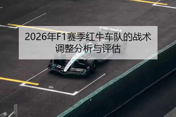nian-sai-ji-hong-niu-che-dui-de-zhan-shu-tiao-zheng-fen-xi-yu-ping-gu-2-501.jpg