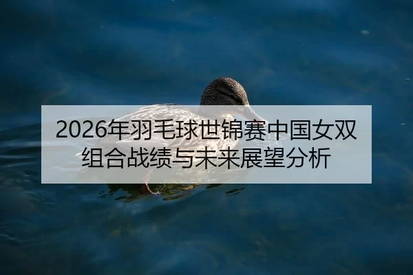 2026年羽毛球世锦赛中国女双组合战绩与未来展望分析
