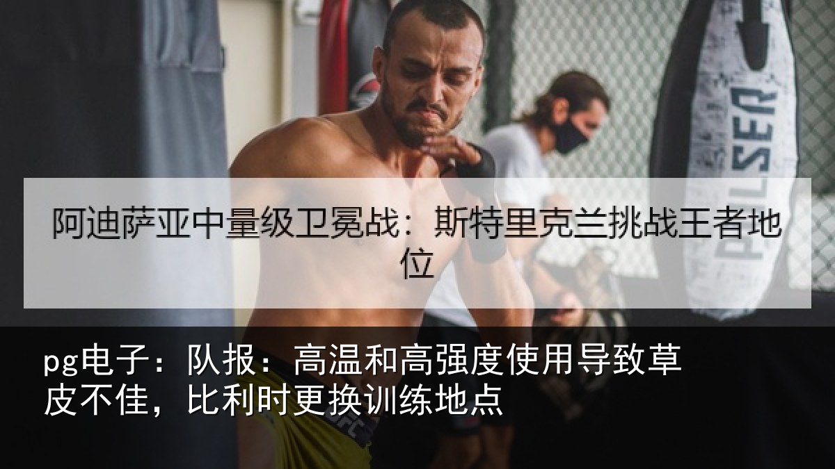 pg电子:队报:高温和高强度使用导致草皮不佳,比利时更换训练地点