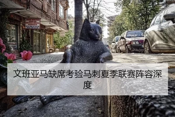 wen-ban-ya-ma-que-xi-kao-yan-ma-ci-xia-ji-lian-sai-zhen-rong-shen-du-3-127.jpg