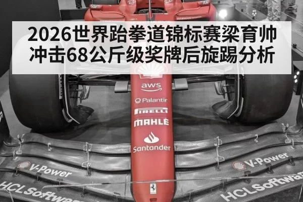 2026世界跆拳道锦标赛梁育帅冲击68公斤级奖牌后旋踢分析